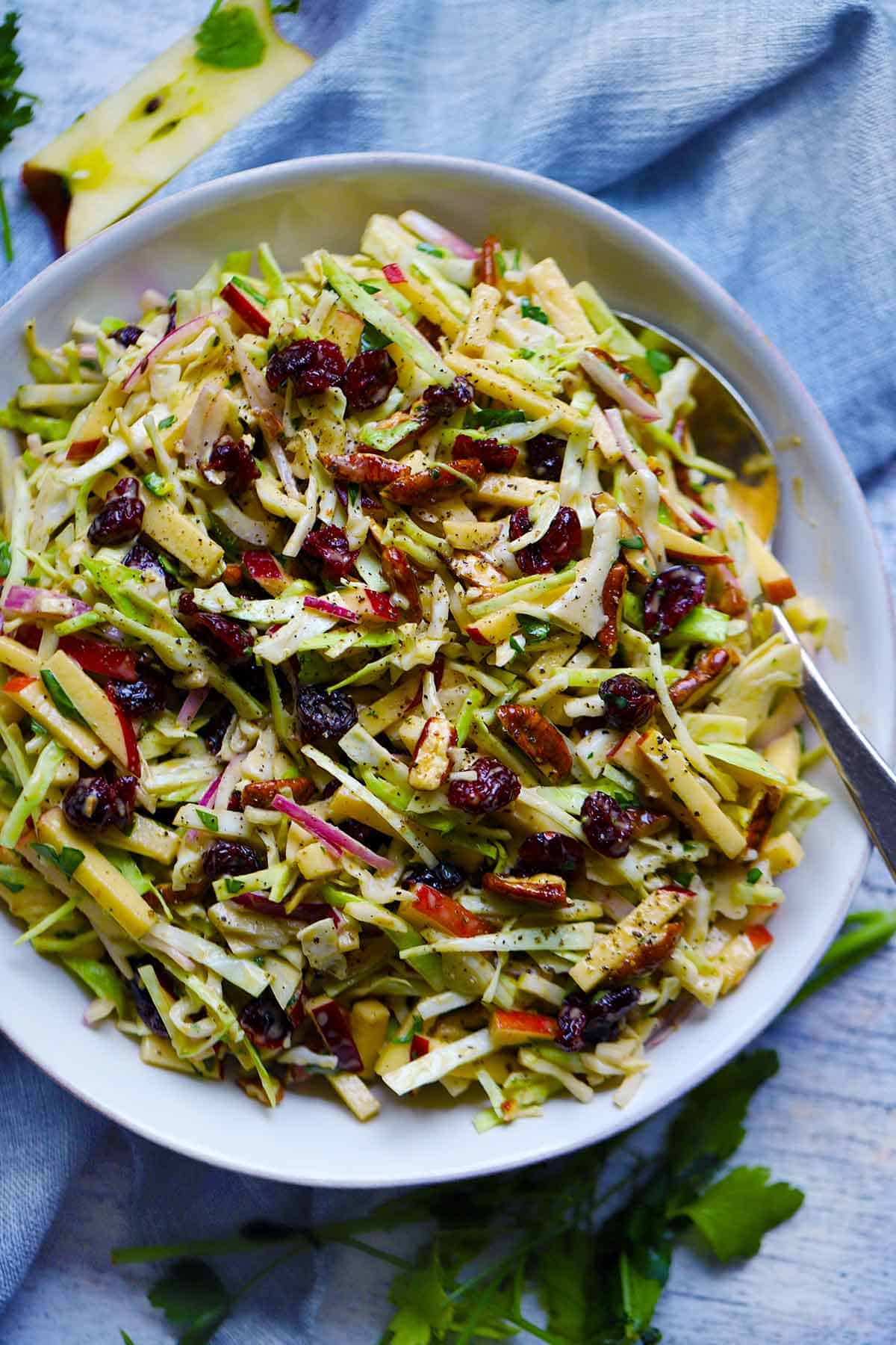 Overhead photo of a white bowl with apple coleslaw in it and a spoon resting inside.