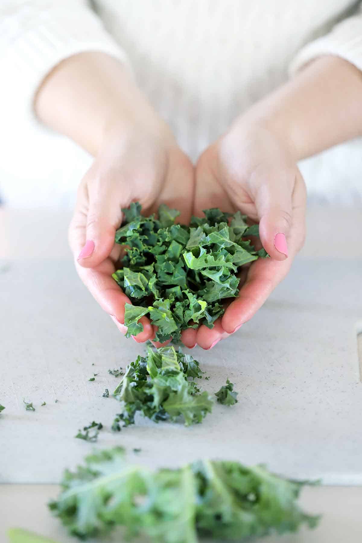 Hands holding chopped kale.