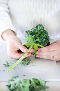 Removing kale stems using a leaf stripper.
