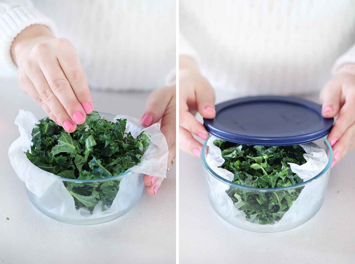 Storing kale in a paper towel lined airtight container.