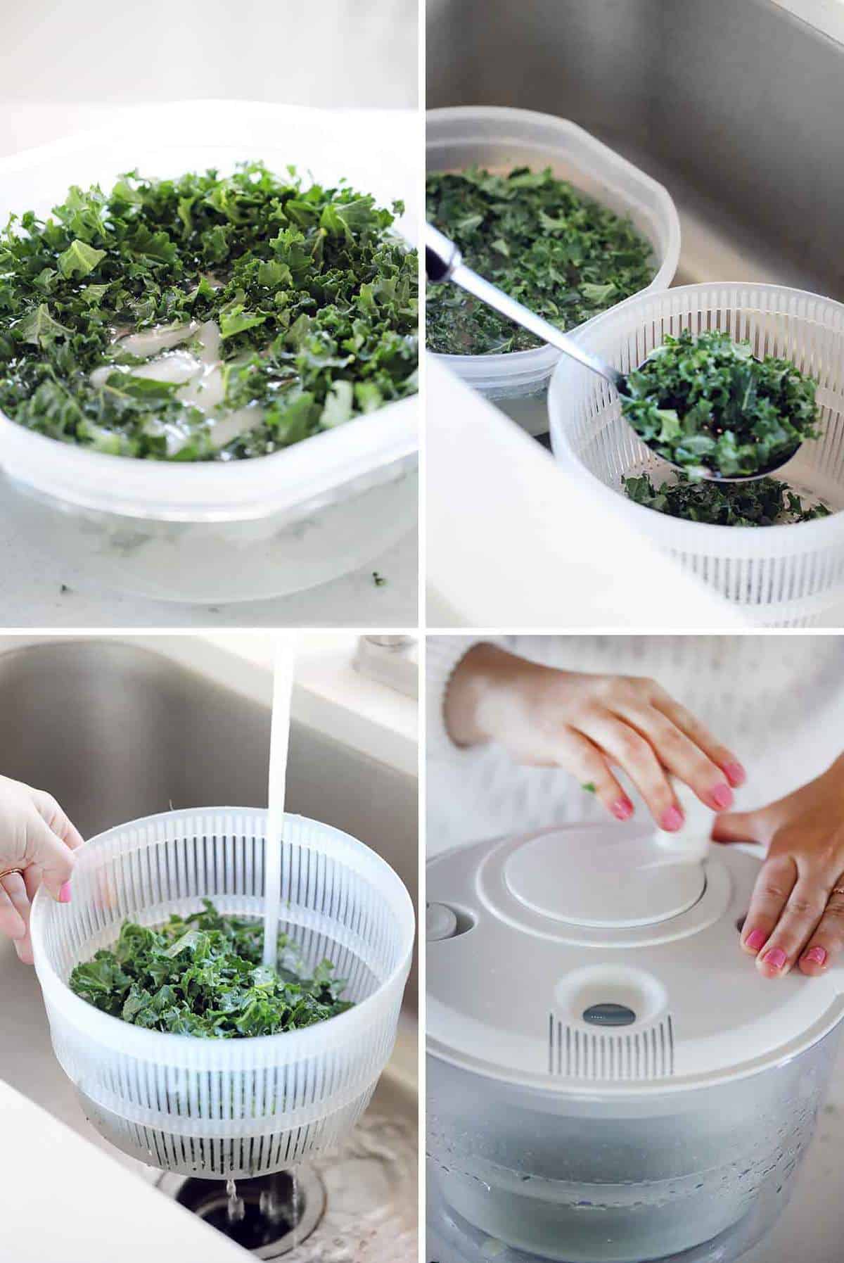 Showing how to soak kale in ice water and wash it before spinning it in a salad spinner.