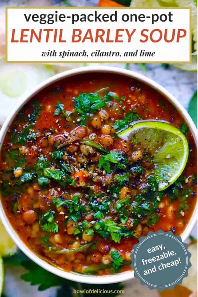 Pinterest image for lentil barley soup.