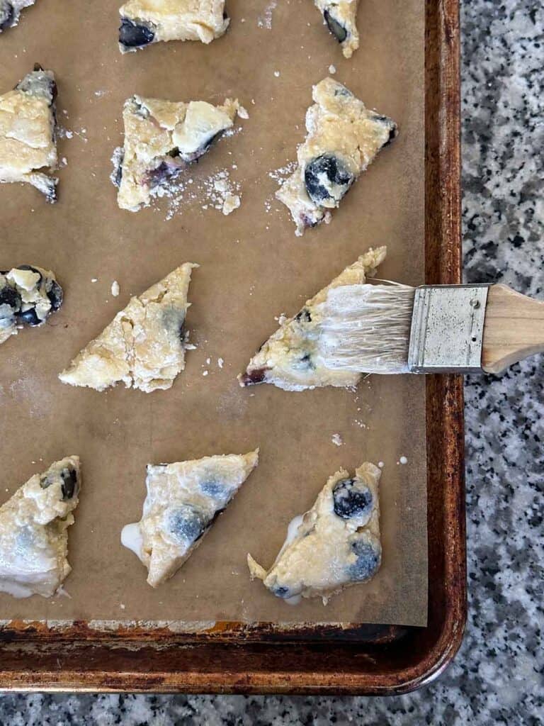 Brushing milk on top of mini blueberry scones.