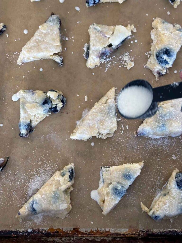 Sprinkling sugar on top of mini blueberry scones before baking.
