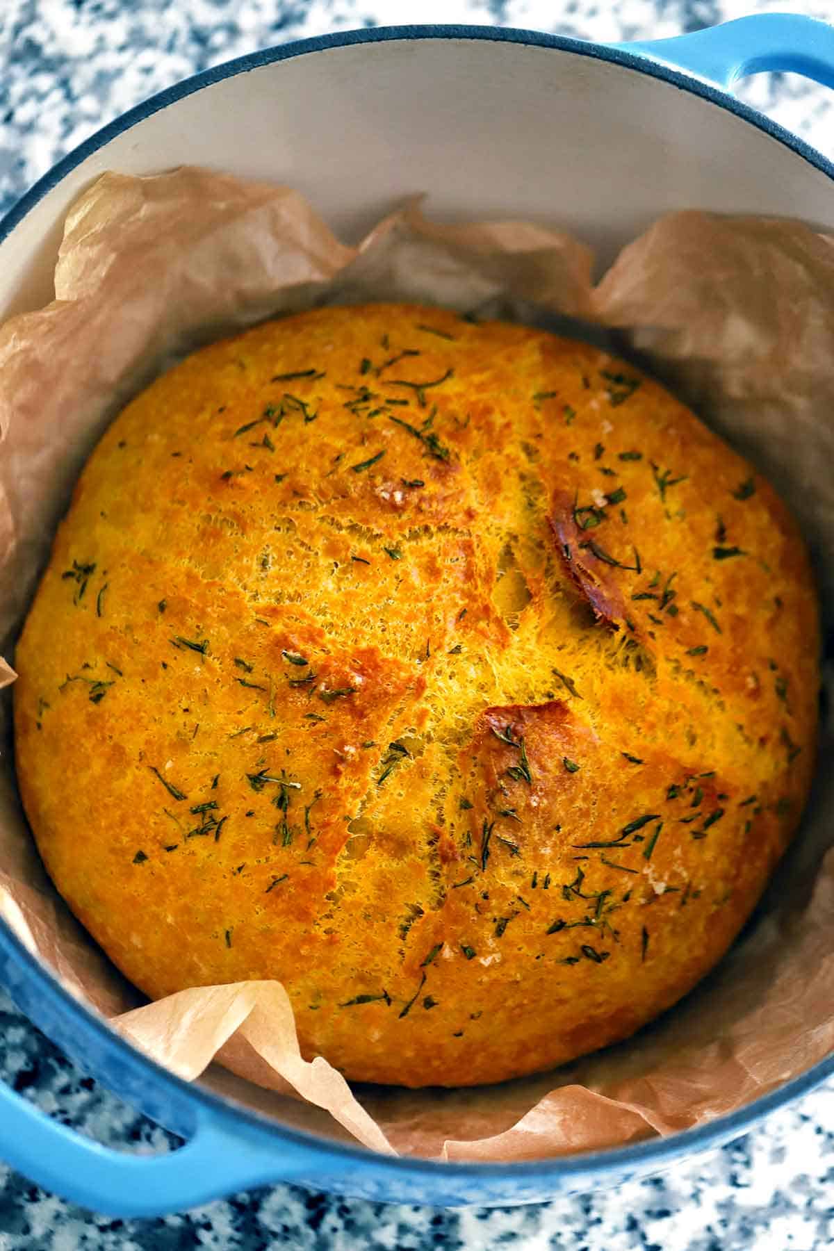 A loaf of pumpkin no knead bread, a savory artisan loaf with yeast, baked in a Dutch oven, with rosemary on top in a parchment paper lined pot.