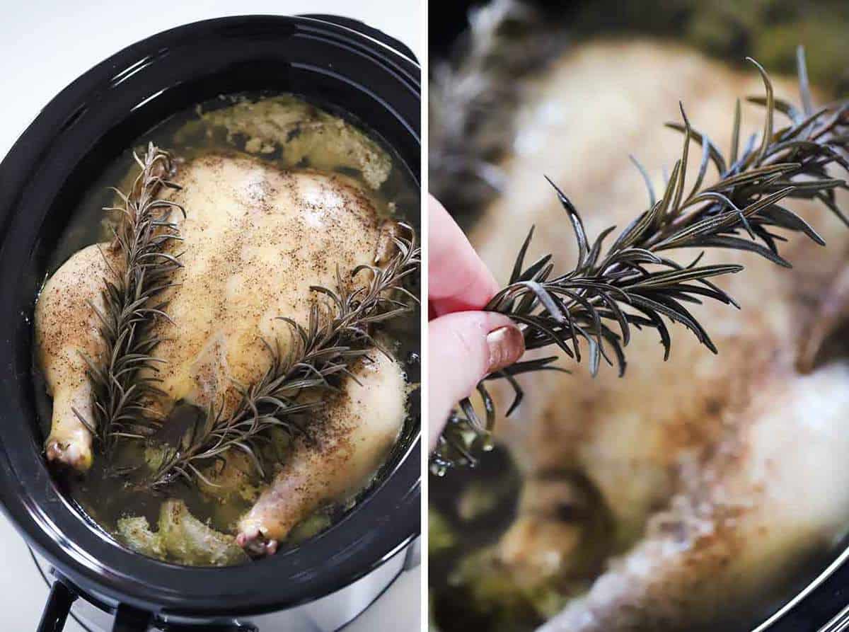 Taking a rosemary sprig out of a slow cooker.