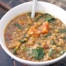 Healthy, hearty, delicious, and inexpensive- this vegan stew is packed with fiber and nutrients!