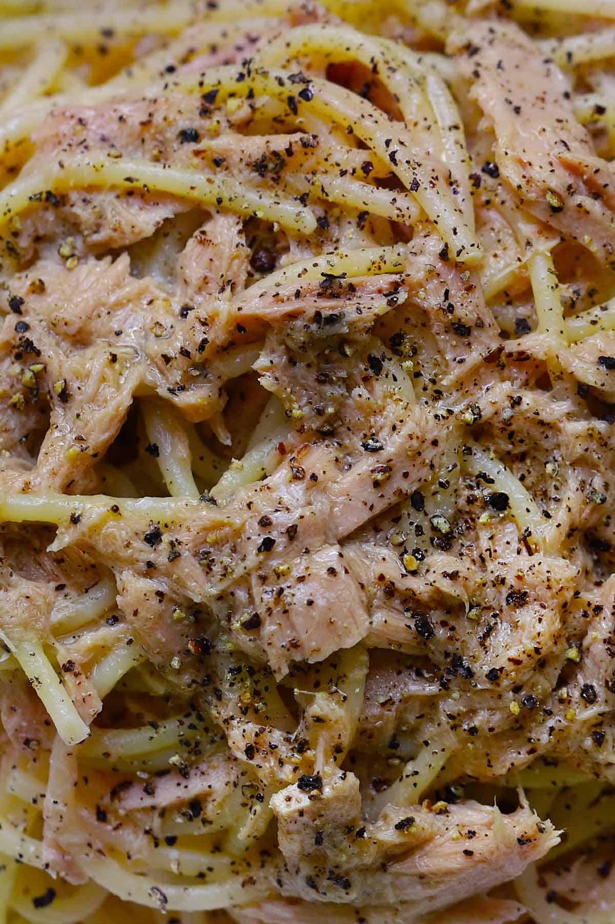 Close up photo showing texture of Spaghetti Tonno e Burro, spaghetti with olive oil packed tuna and butter with cracked pepper on top.
