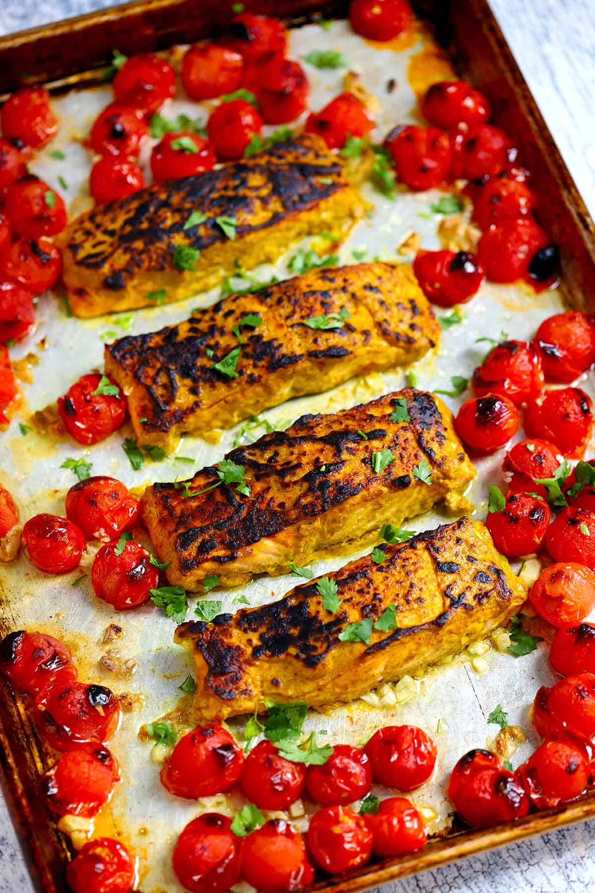 Sheet pan tandoori salmon with cherry tomatoes after cooking under the broiler, with deep char marks, topped with cilantro.